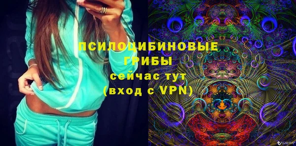 2c-b Карпинск